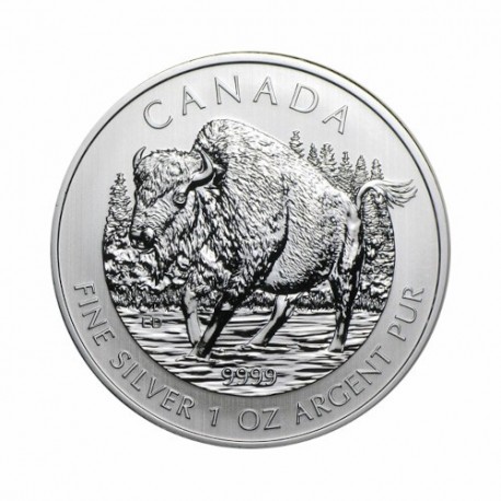 Kanada - Divje živali - Bizon 1 oz srebrnik 2013