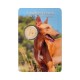Malta 2026 - "Pharaoh Hound" - BU - coincard